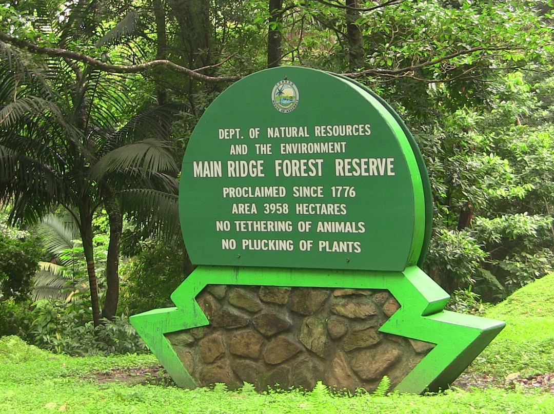Tobago Main Ridge Forest Reserve-多巴哥必去景点