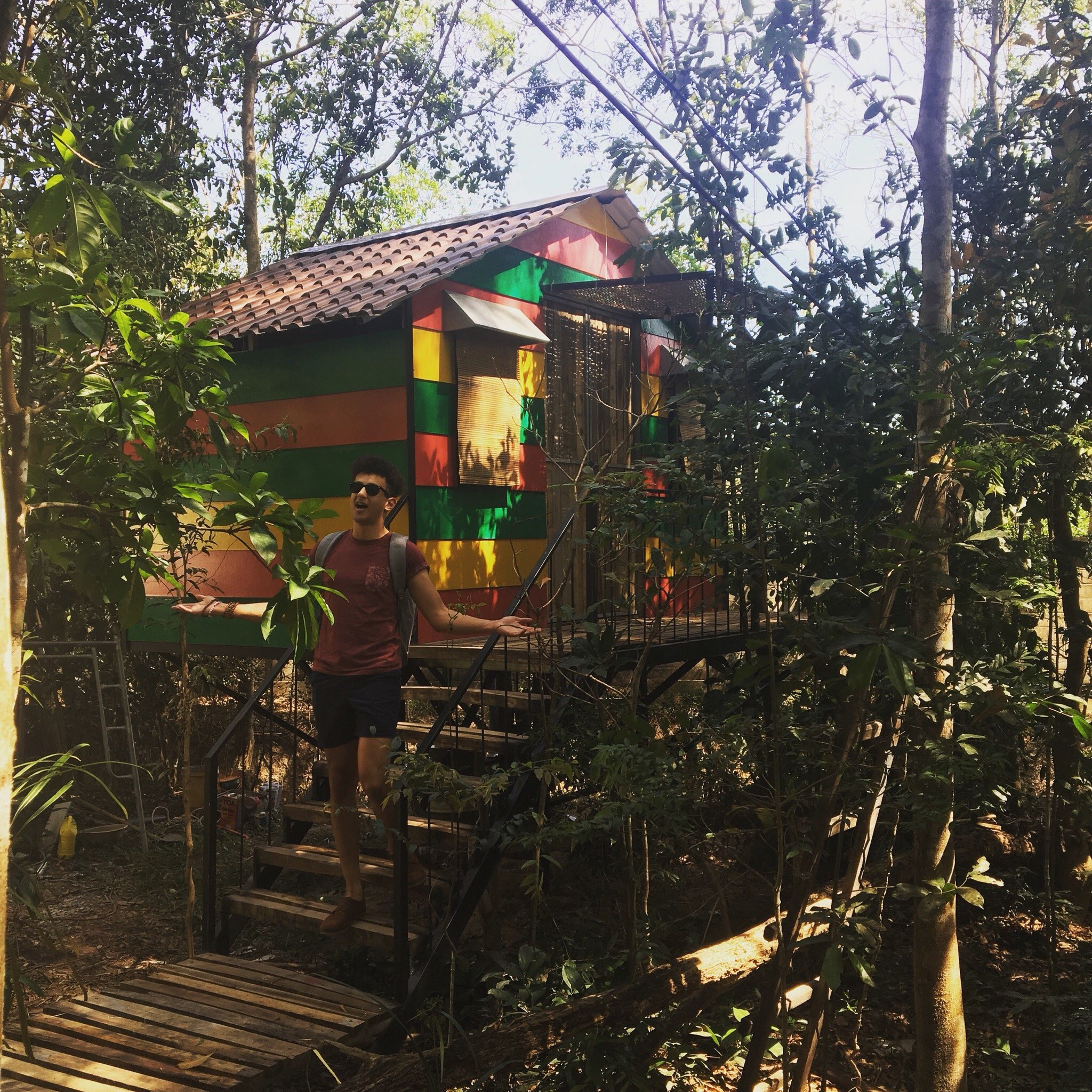 The Birdhouse-官方