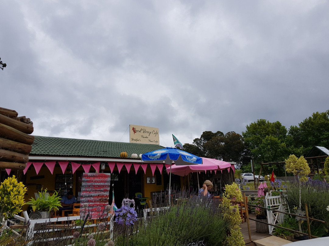 哈克城餐馆和美食-The Coral Breeze Cafe