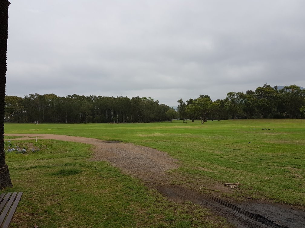 Stuart Park-卧龙岗市必去景点