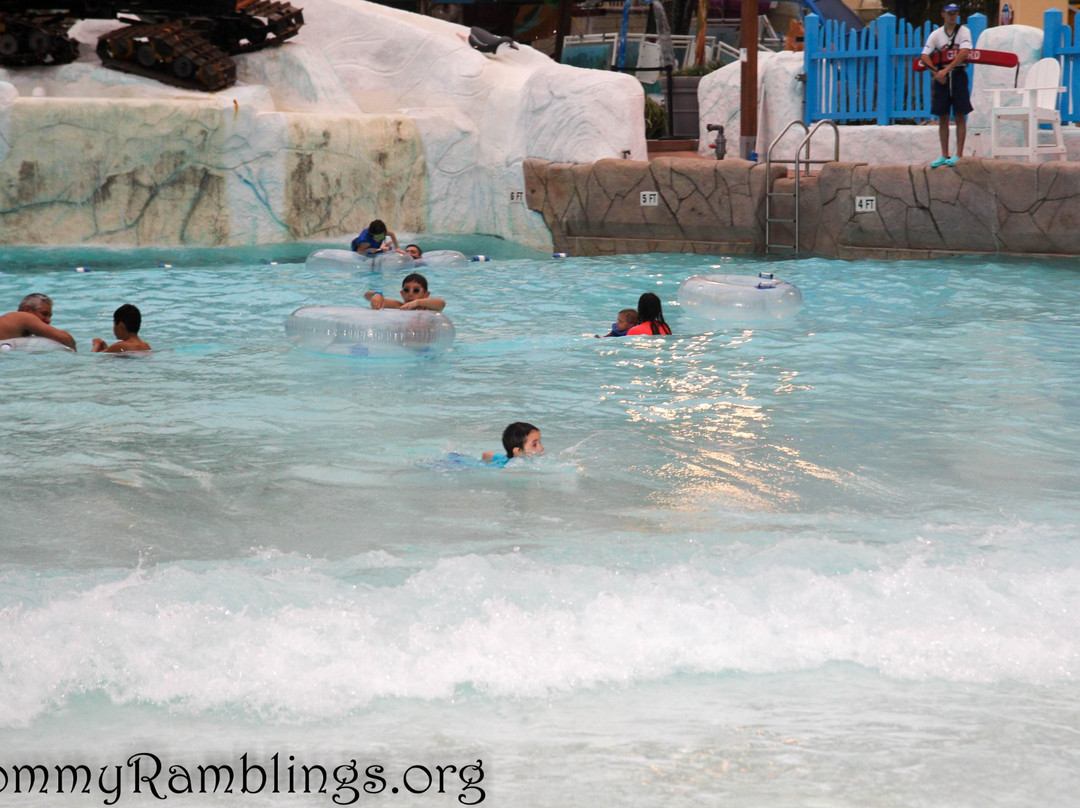 Camelbeach Mountain Waterpark景点图片