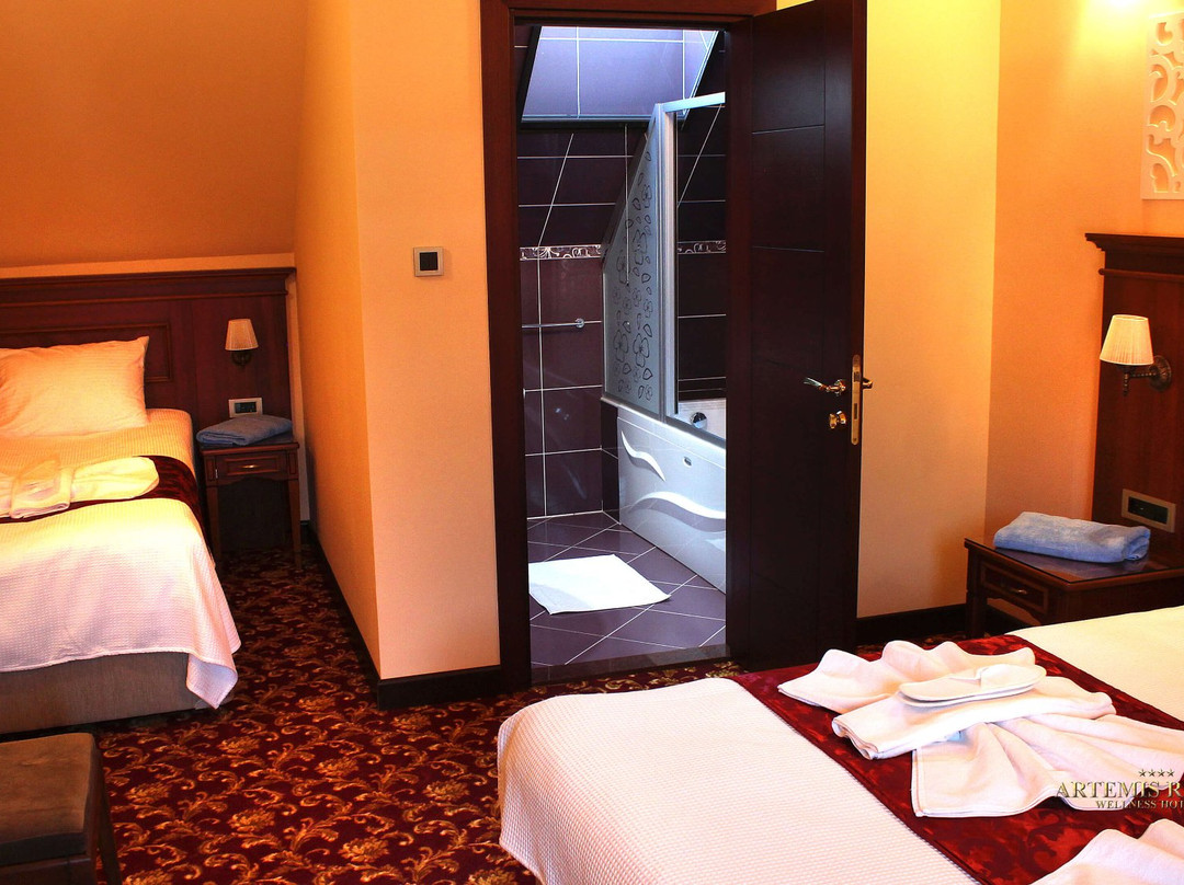Artemis Resort Wellness Hotel主图