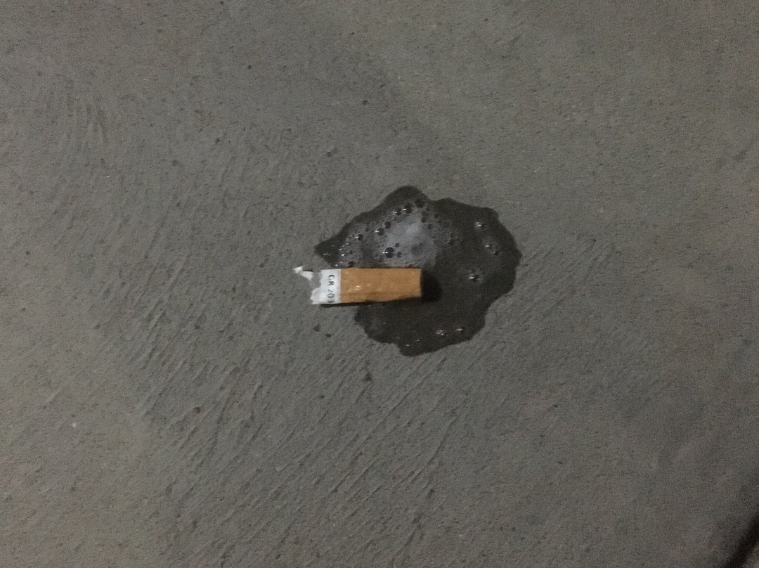 科布因兰德尔汽车旅馆主图