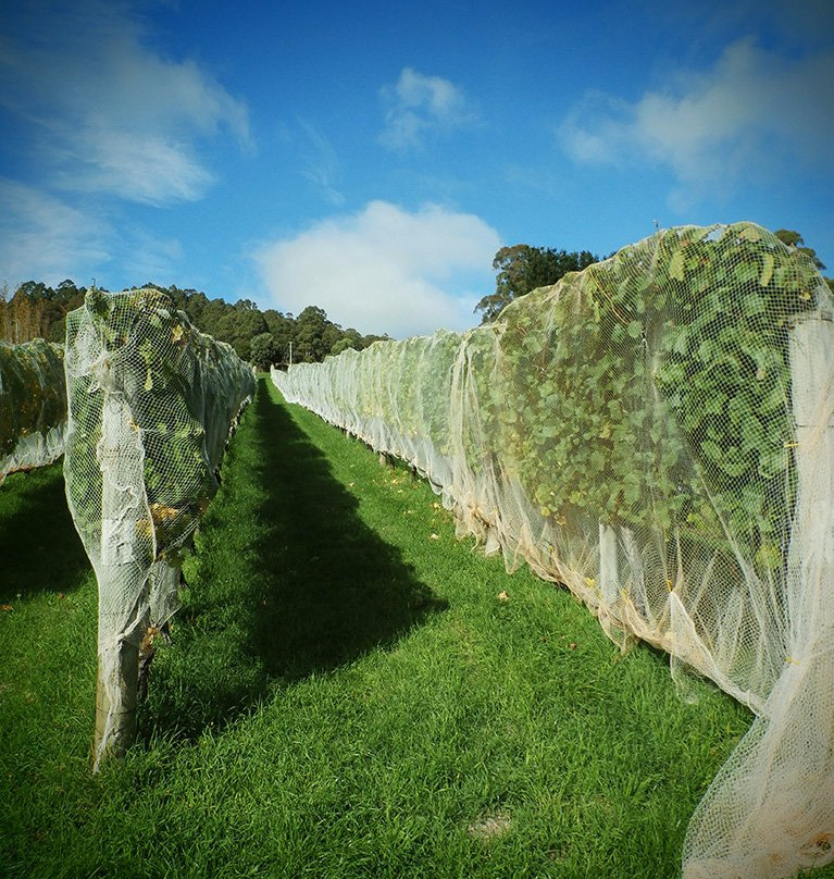 Leven Valley Vineyard-Gunns Plains必去景点