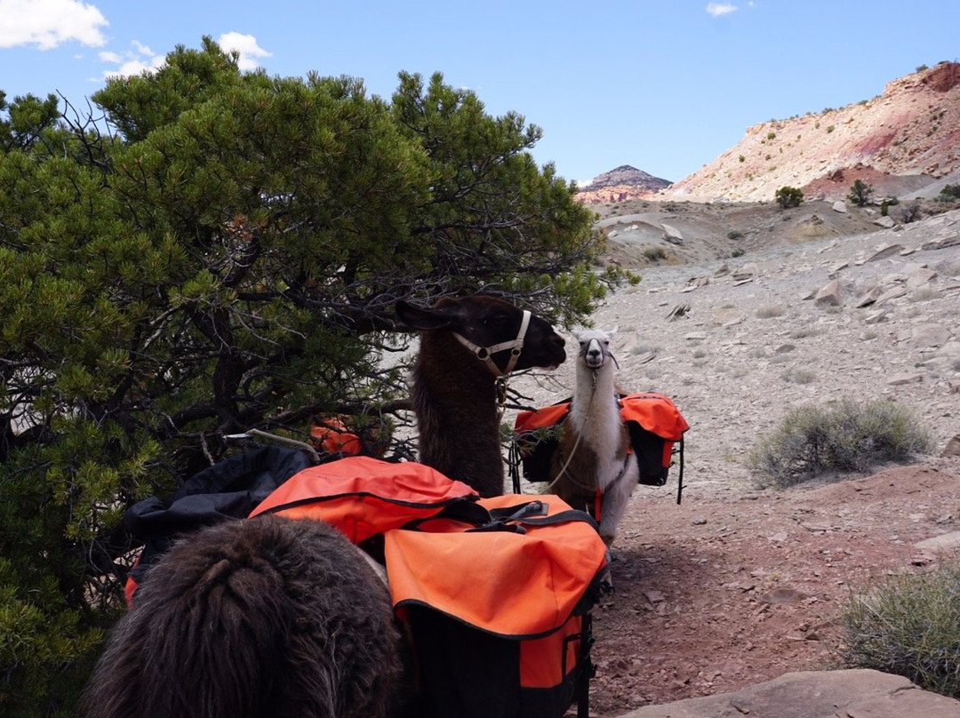 Wilderness Ridge Adventures-托里必去景点