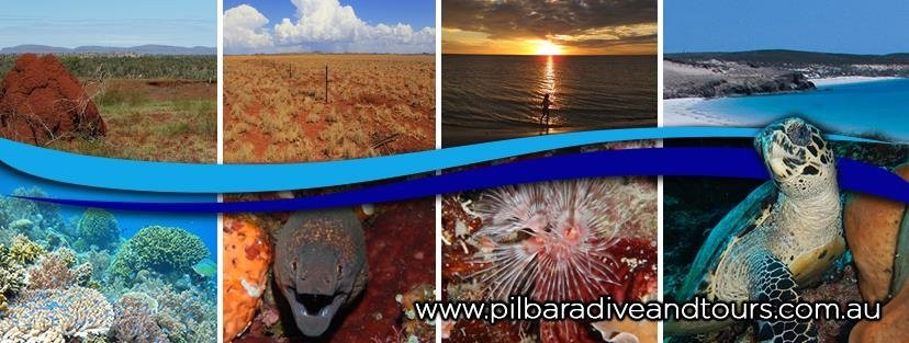 Pilbara Dive And Tours Pty Ltd-卡拉萨必去景点