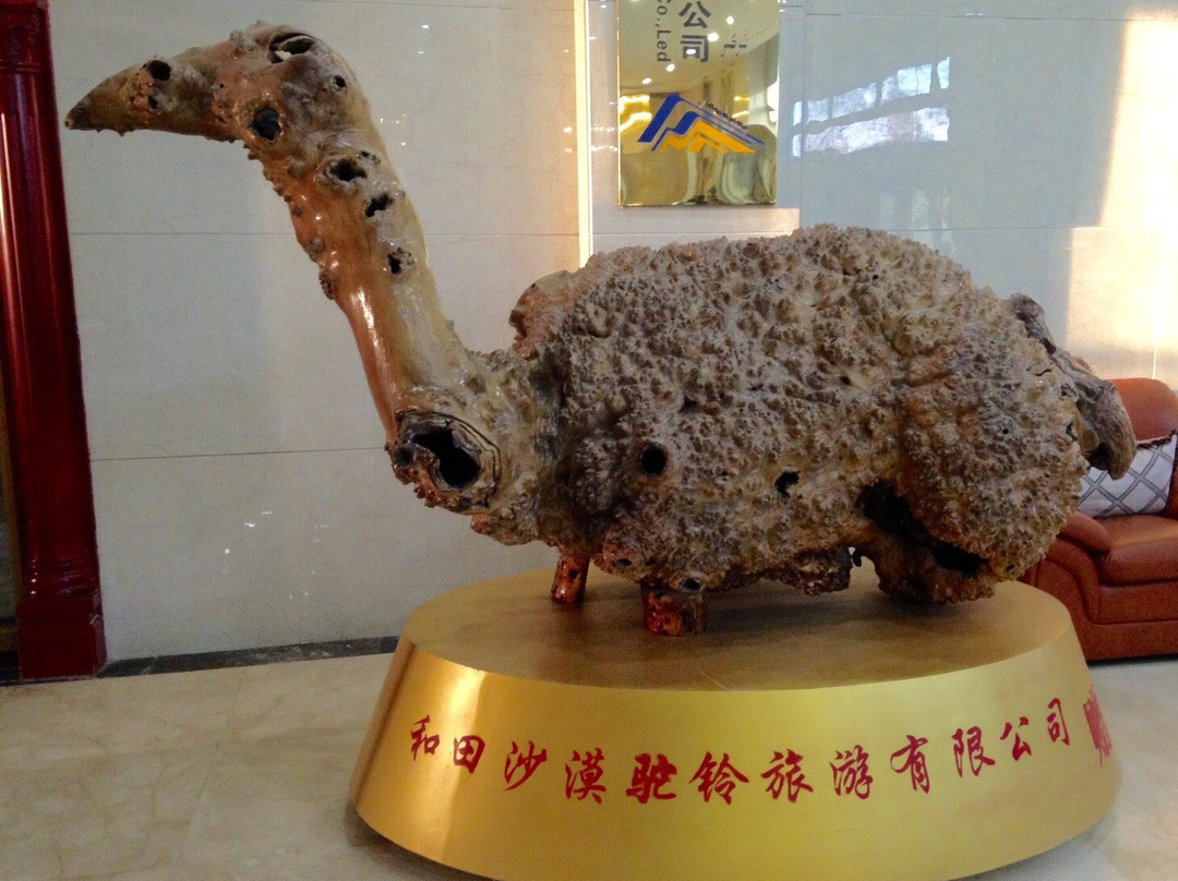 民丰帝皇国际大酒店主图