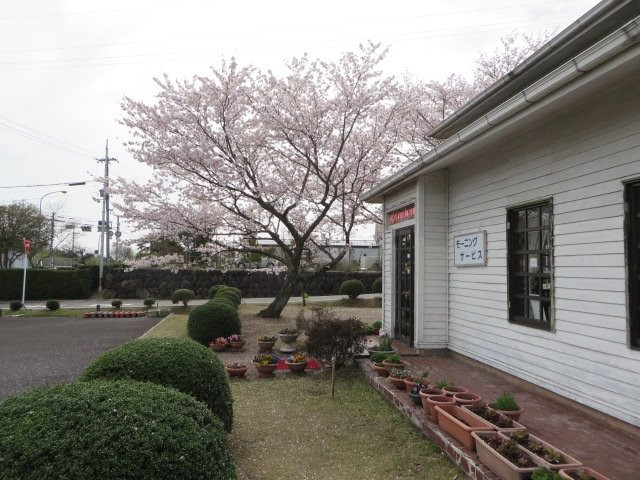 西粟仓村餐馆和美食-Linden Balm