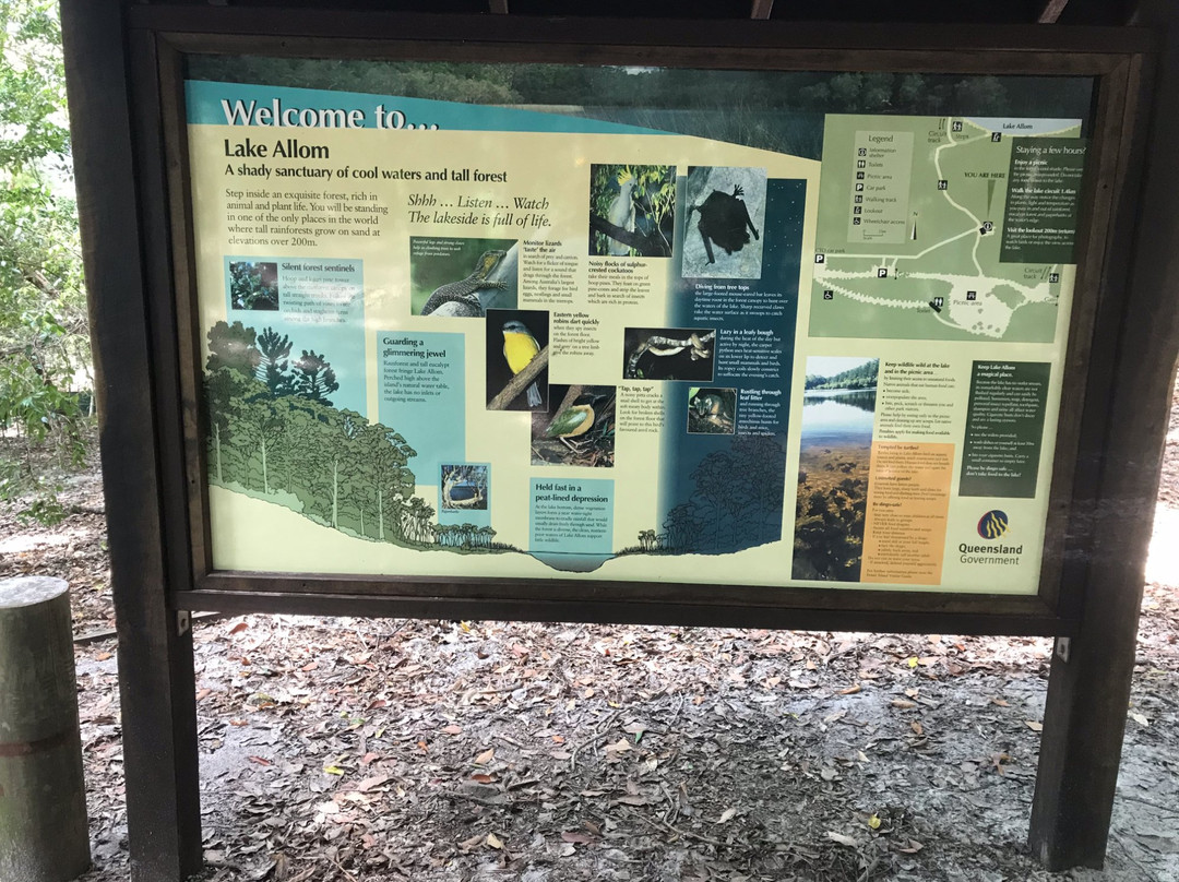 Lake Allom景点图片