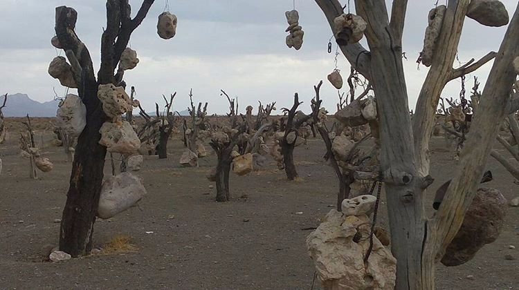 Stone Garden景点图片