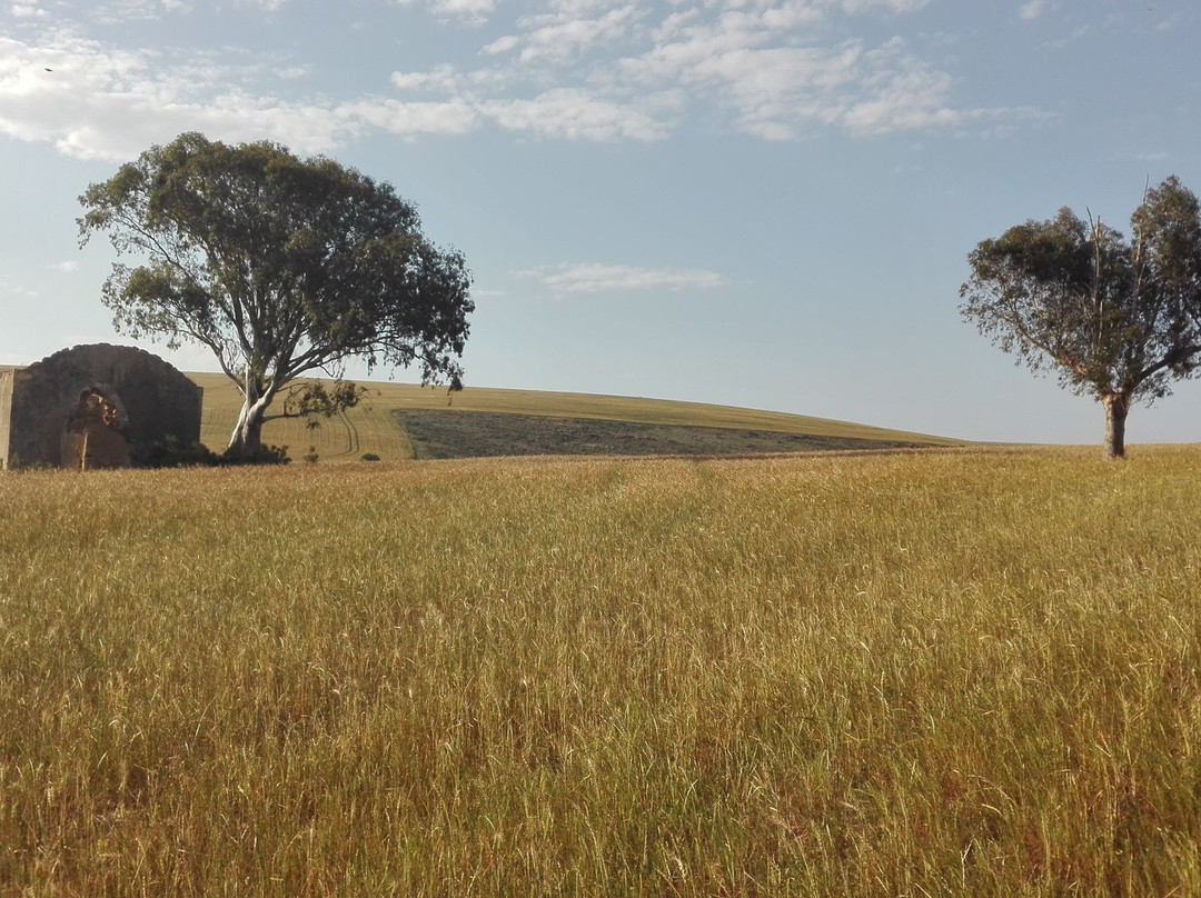 Bredasdorp Square主图