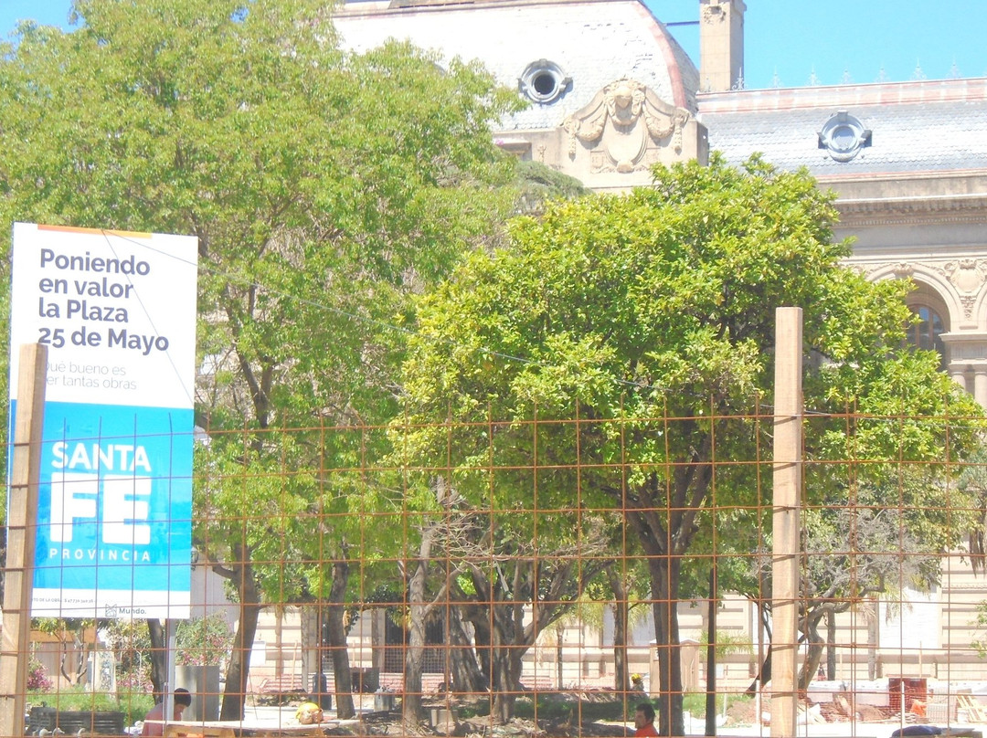 Plaza 25 de Mayo景点图片