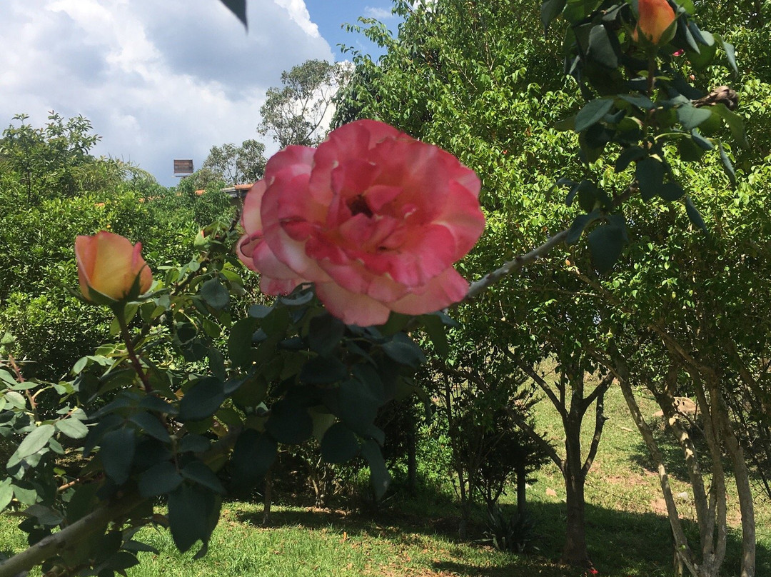 Paroquia de Santo Expedito-瓜拉廷格塔必去景点