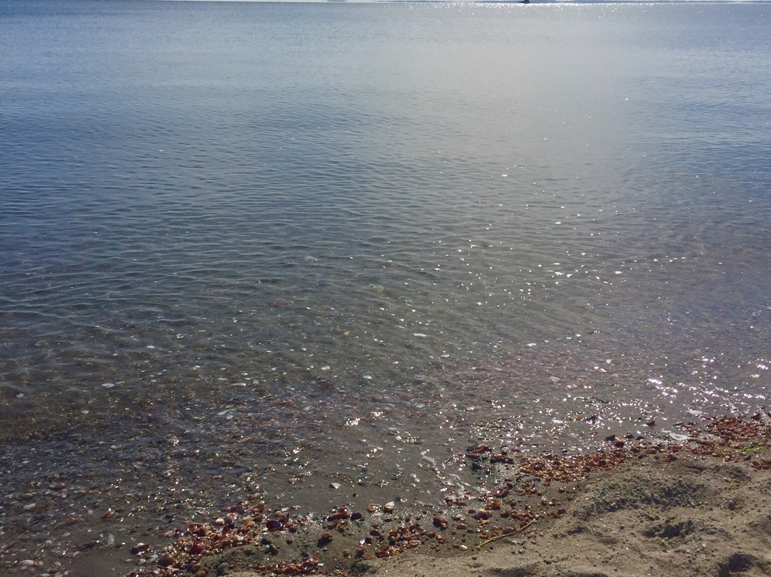 Penfield Beach-费尔菲尔德必去景点