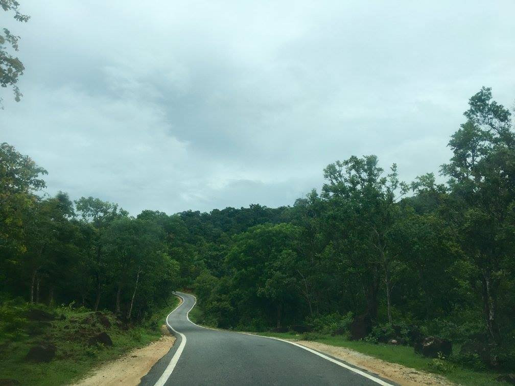 Biligiri Ranganath Hills景点图片