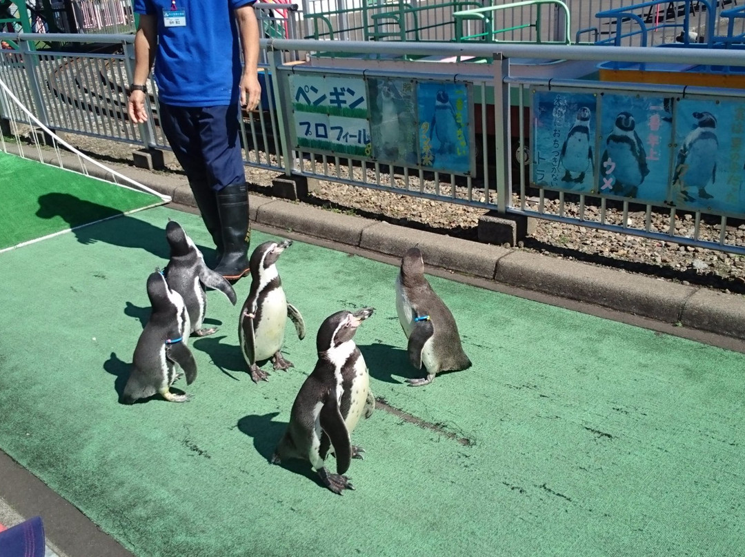 室兰市立水族馆-室兰市必去景点