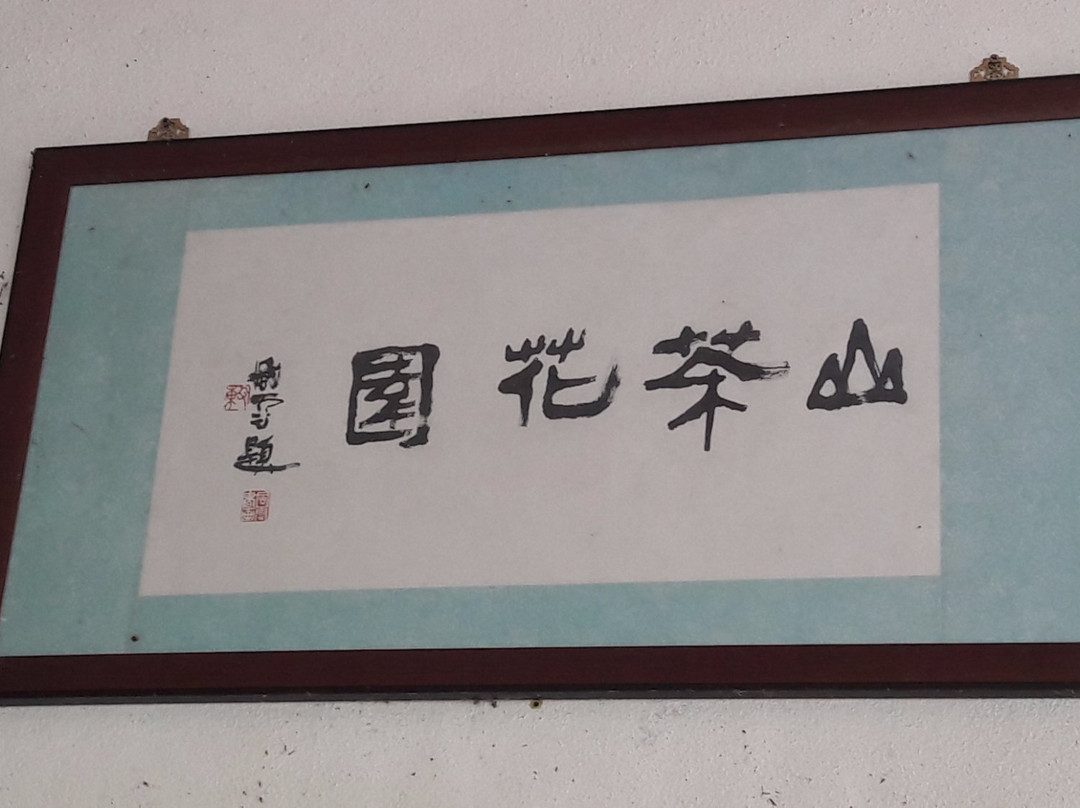 Tan's Camellia Garden-丹那拉塔必去景点