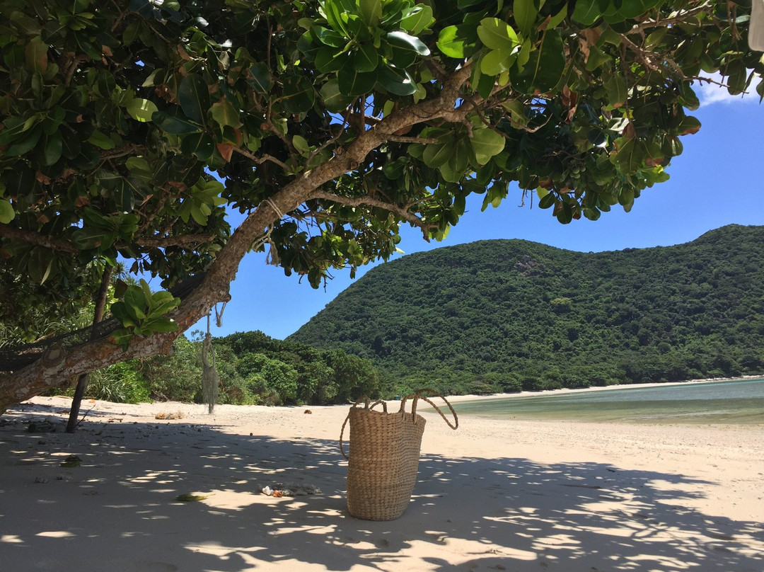 Bay Canh Island景点图片