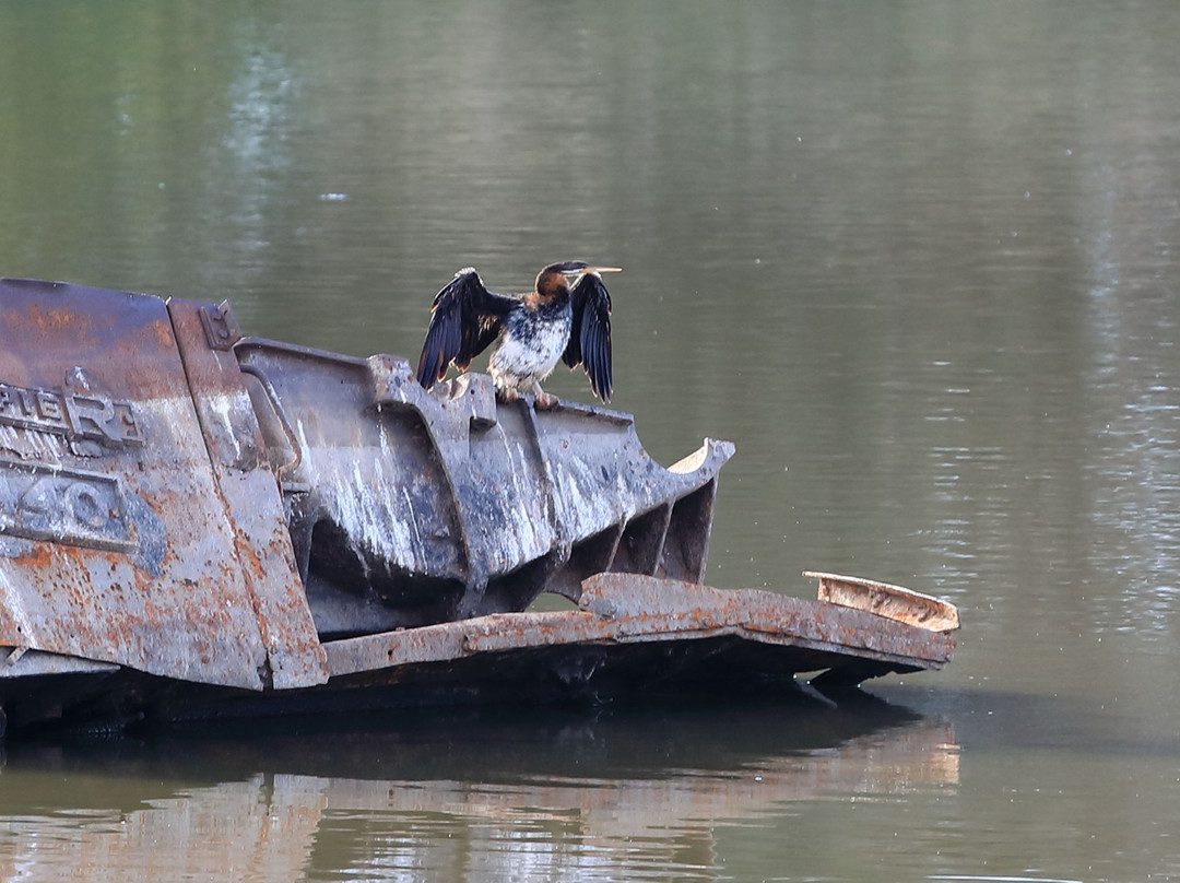 Putta Bucca Wetlands-马奇必去景点