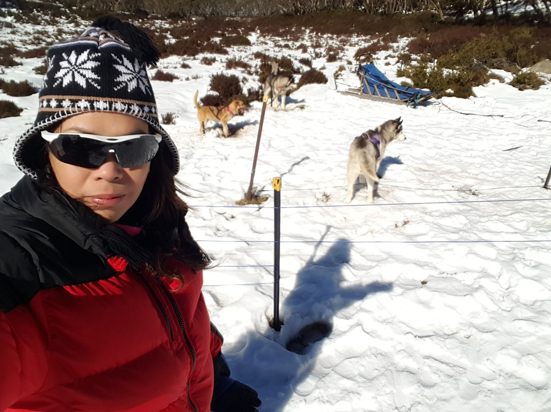 Mt Baw Baw Summit Walk-Mount Baw Baw必去景点