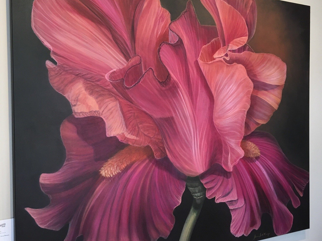 The Rumjahn Gallery and Framery-埃文斯维尔必去景点