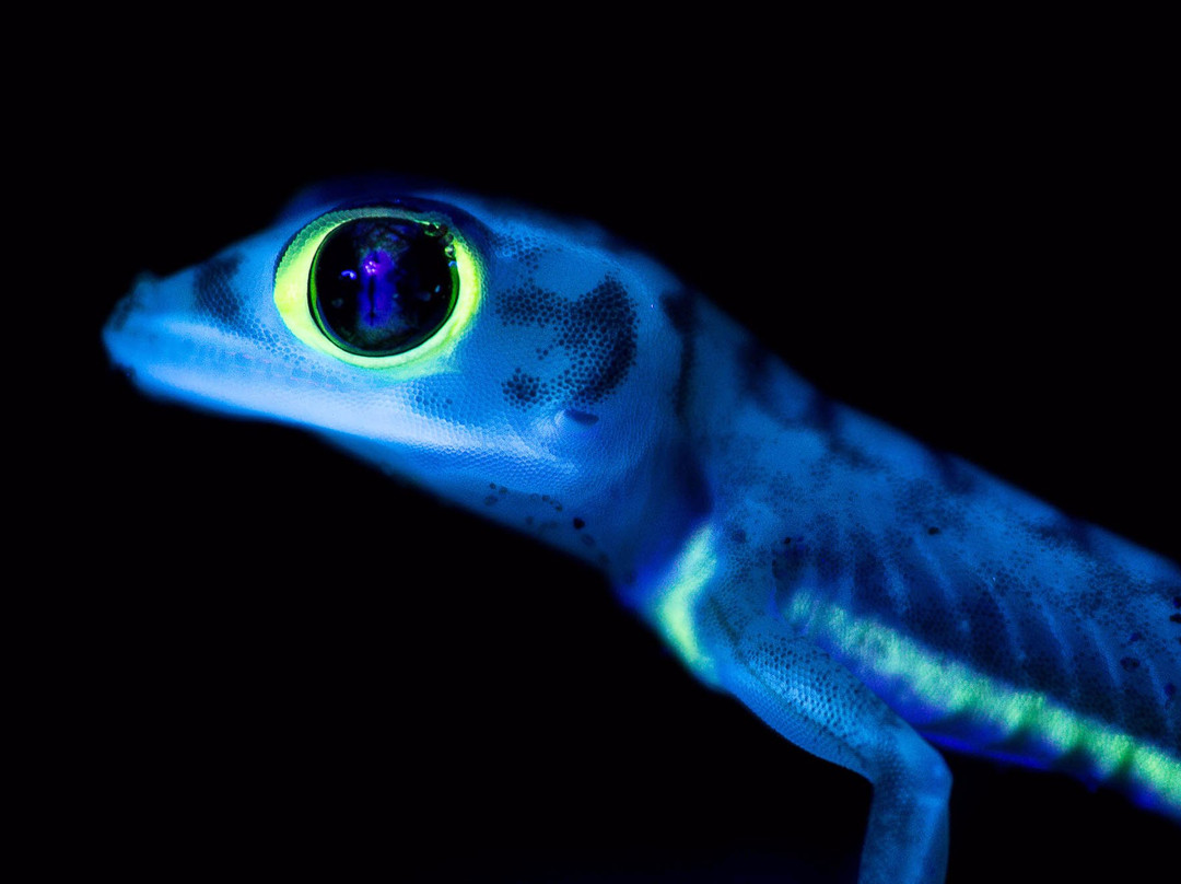 Gobabeb Desert Research Station-Gobabeb必去景点