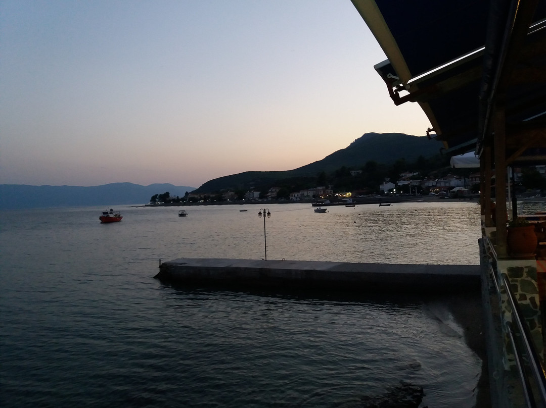 Gregolimano餐馆和美食-Taverna Aristea