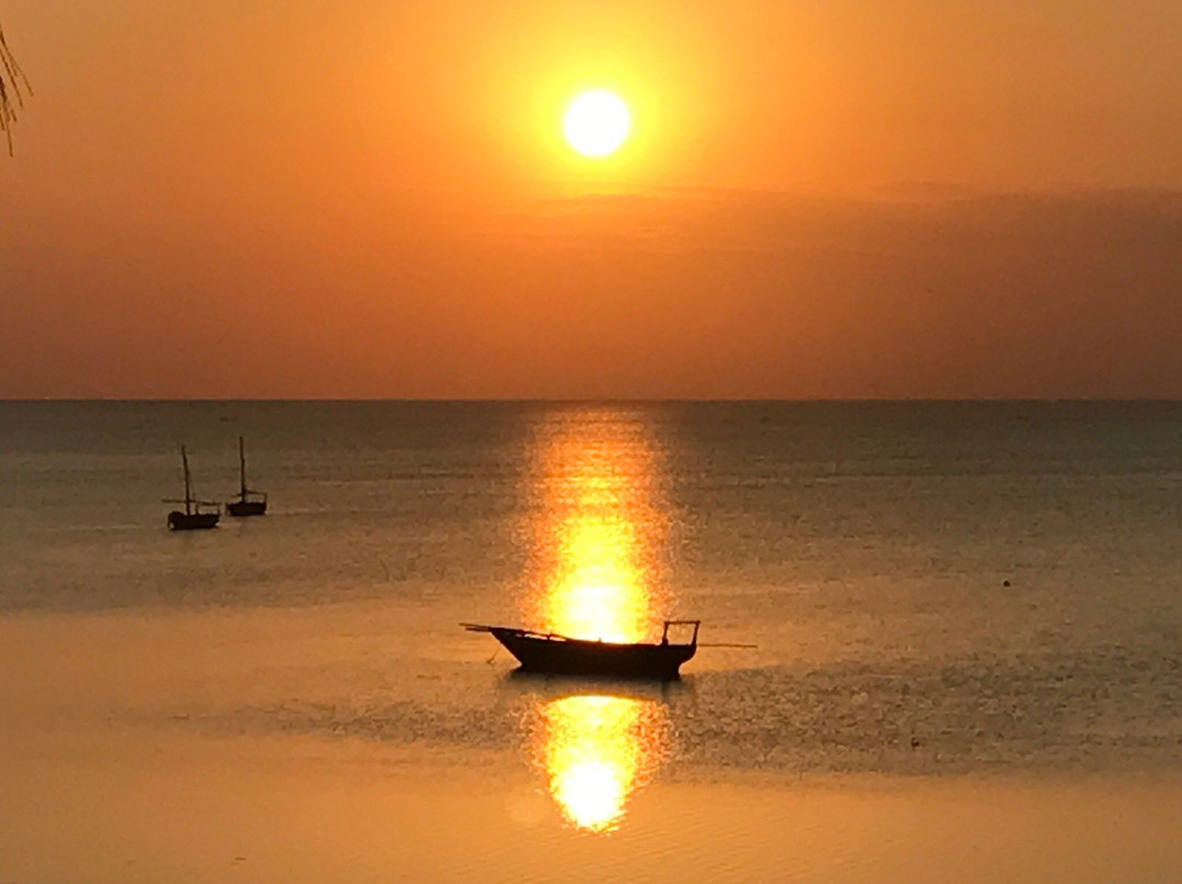 Bashasha Tours-孥归必去景点