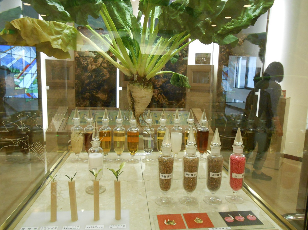 Beet Museum-带广市必去景点