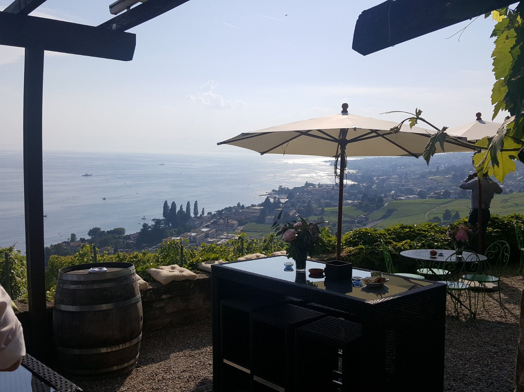 Domaine du Daley-吕特里必去景点