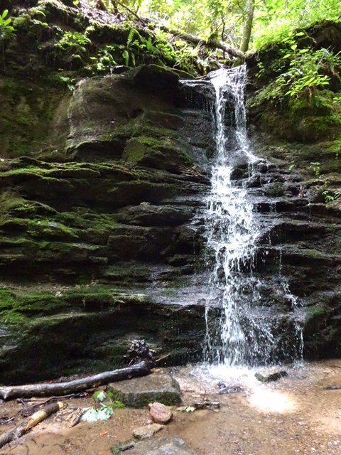 Warwoman Dell Recreation Area-Clayton必去景点