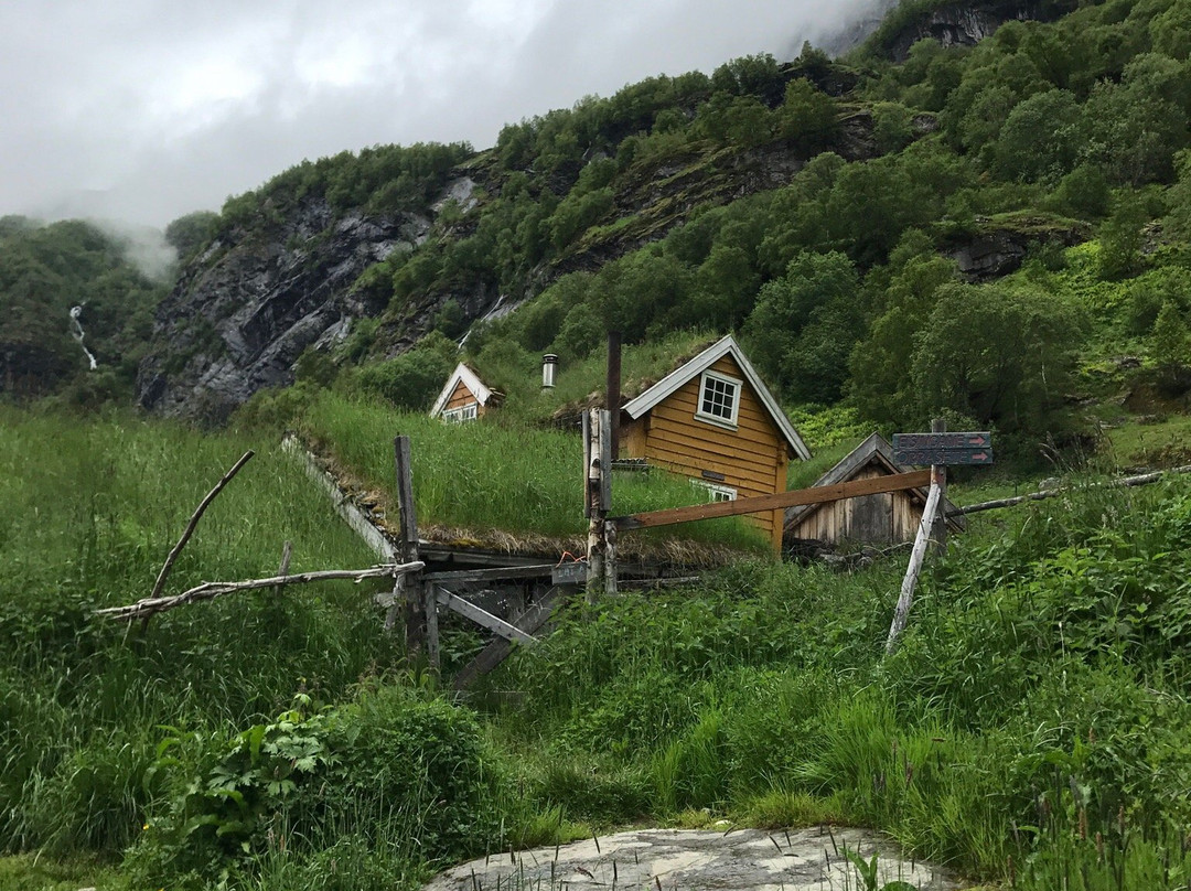 Trekking in Aurlandsdalen景点图片
