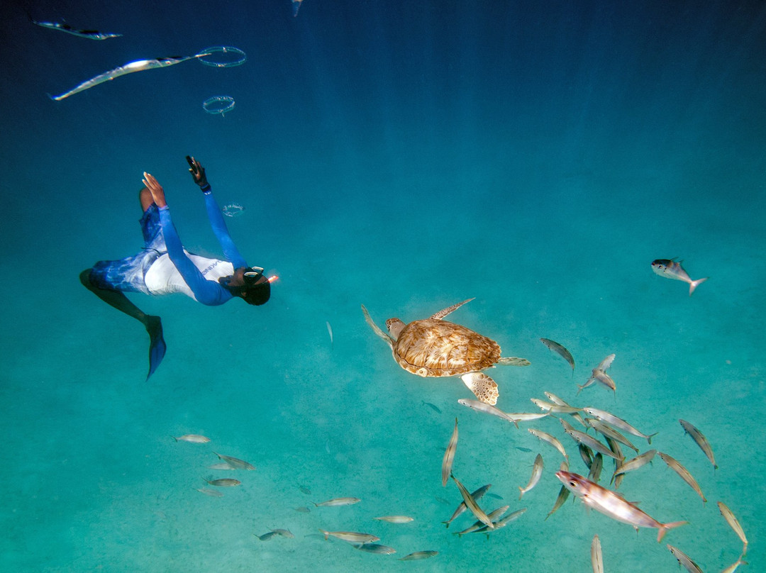 Tide Dancer Luxury Charters-布里奇顿必去景点