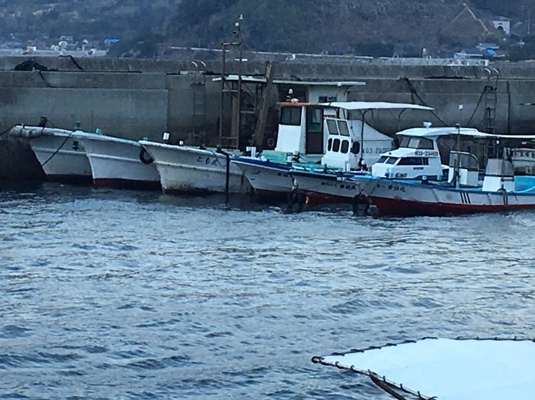 Kaigata Fishing Port-垂水市必去景点