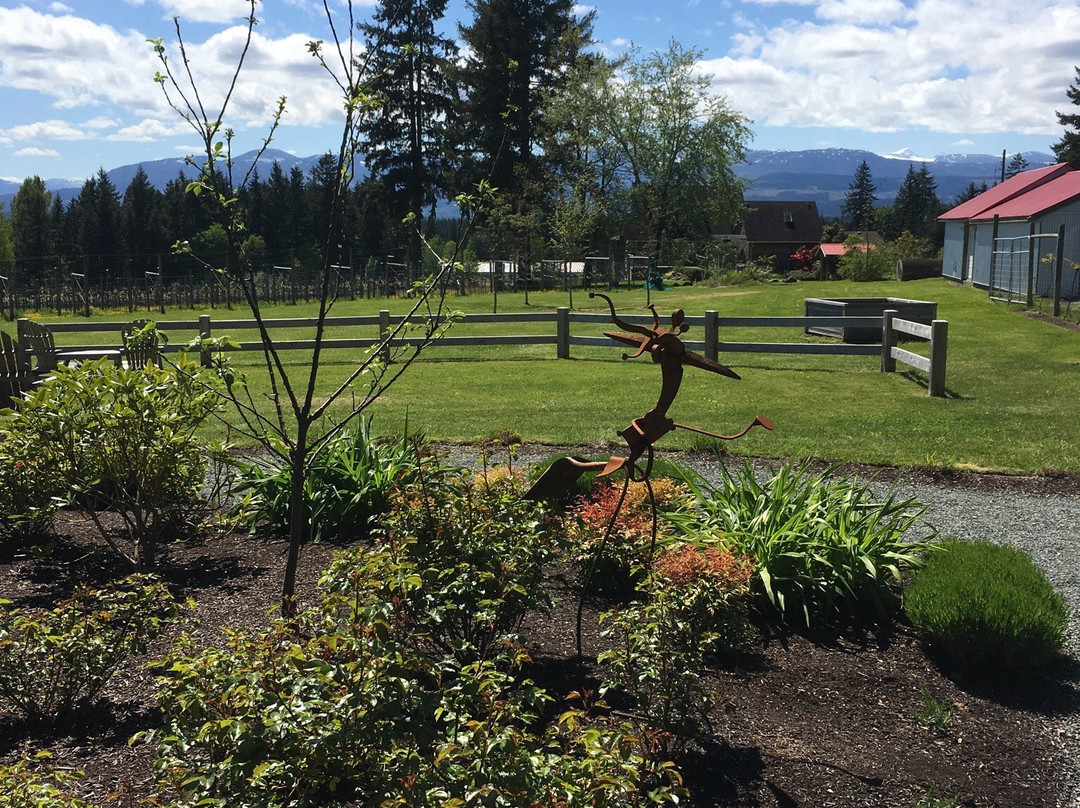 Beaufort Vineyard & Estate Winery景点图片