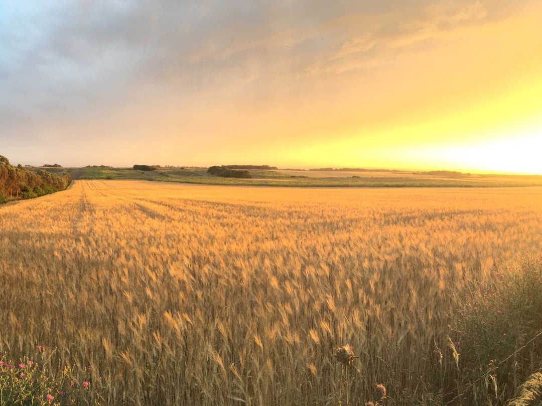 Agriturismo Sa Roia Traversa主图