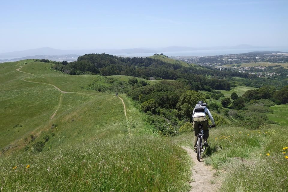 Wildcat Canyon Regional Park-列治文必去景点