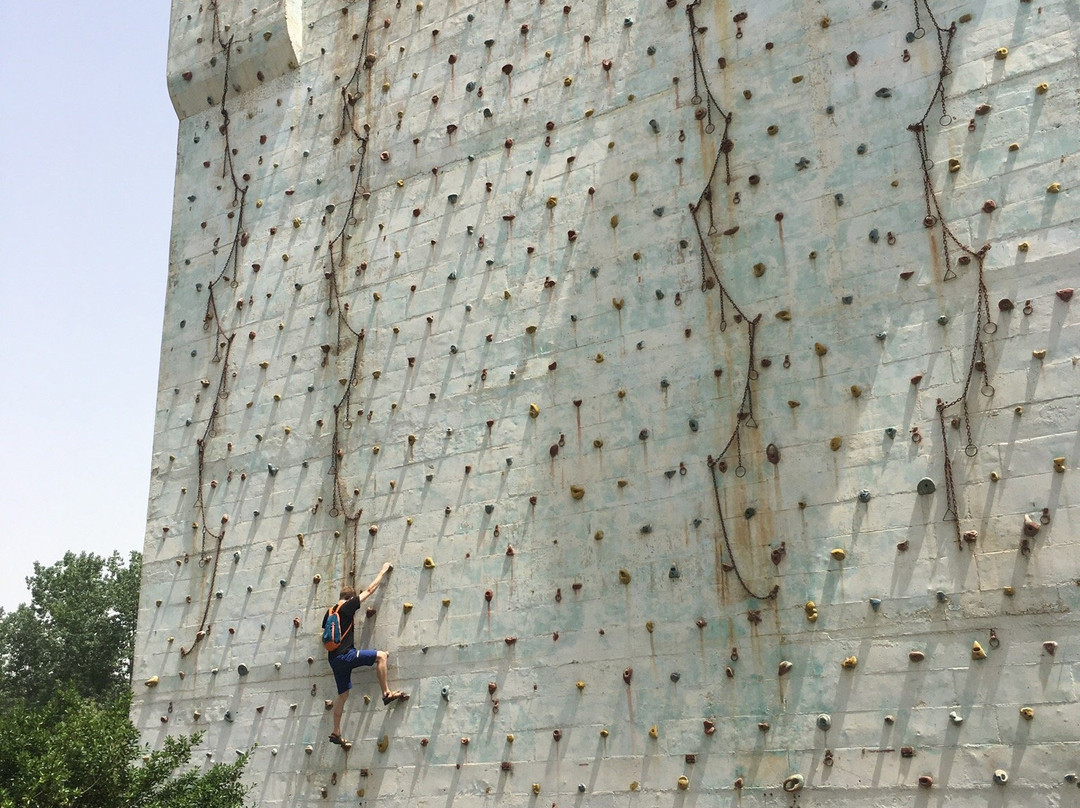 金鹭鸵鸟园-郑州市必去景点