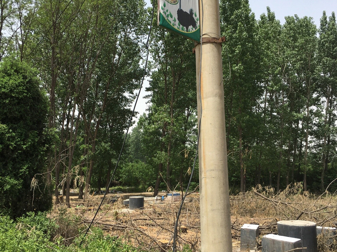 金鹭鸵鸟园-郑州市必去景点