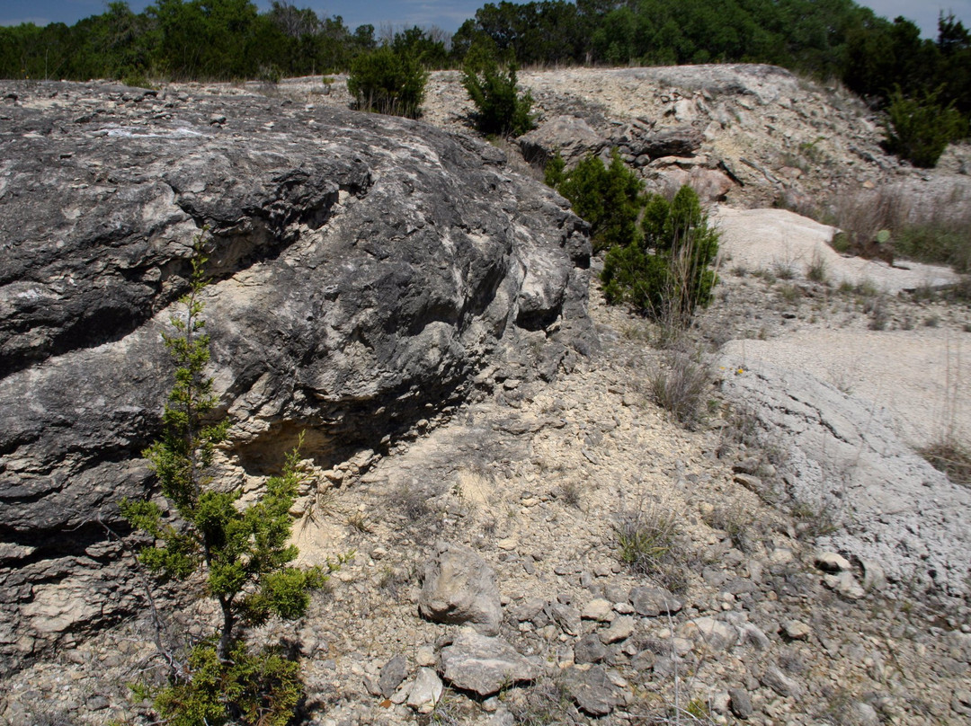 Hunt旅游攻略图片