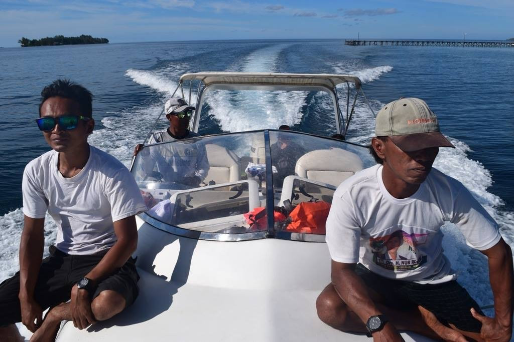 Dolphin Karimunjawa-卡里蒙加瓦必去景点