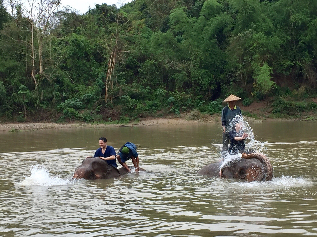 All Lao Elephant Camp景点图片