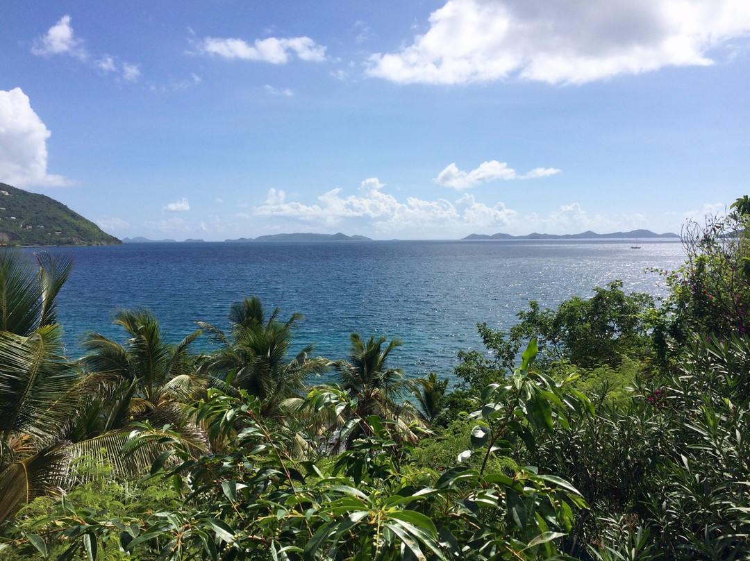 Dolphin Water Taxi-圣 托马斯必去景点