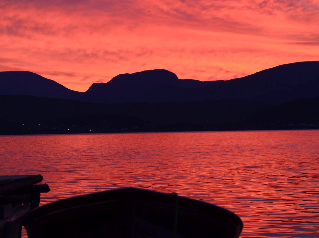 Blackawton Boat Tours-Woody Point必去景点