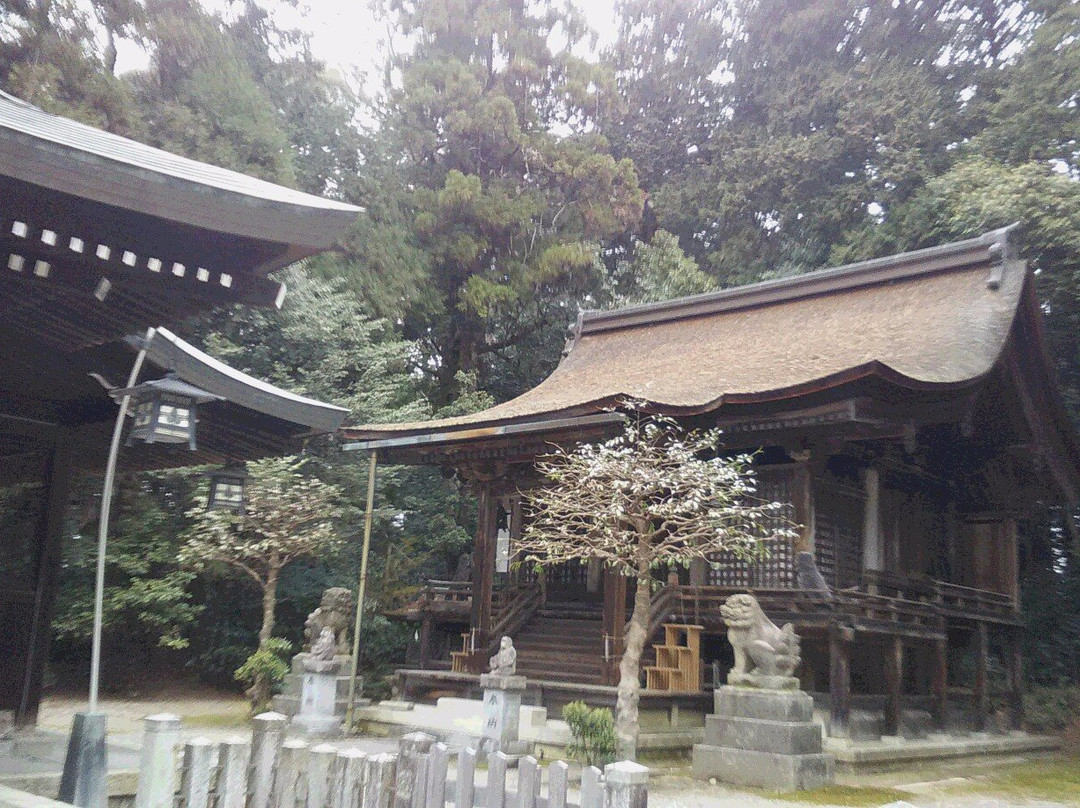Oshitate Shrine-东近江市必去景点