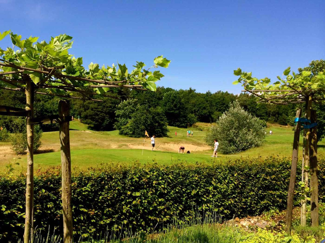 Pitch&Putt Golf Molenhoek景点图片