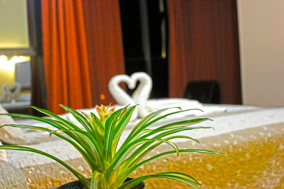 Hotel Arenas del Mayo主图