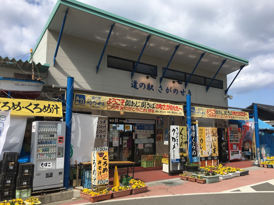 Saganoseki Michi-no-Eki景点图片