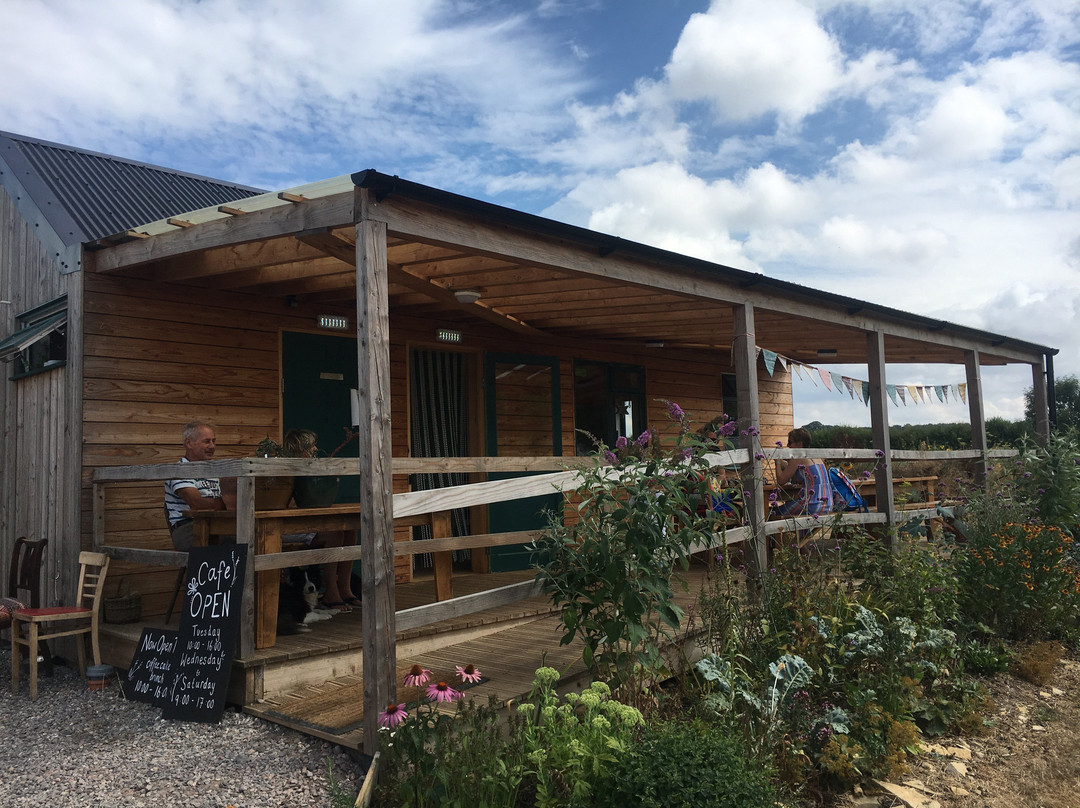 Langport餐馆和美食-Pitney Farm Cafe