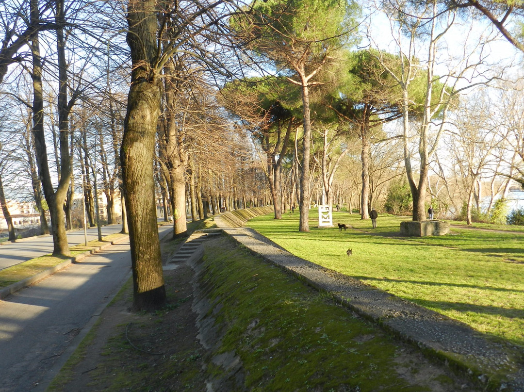 Viale delle Piagge景点图片